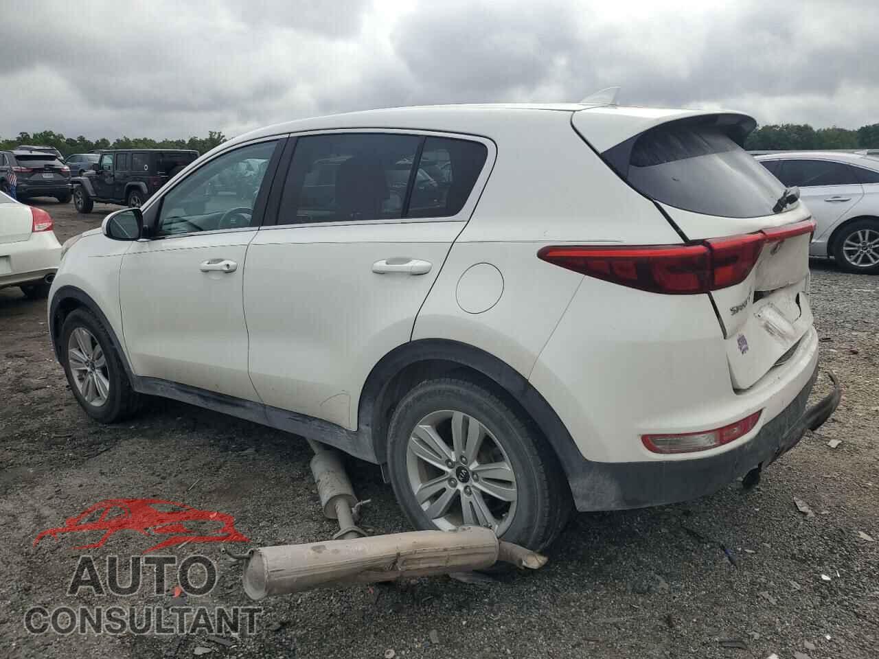 KIA SPORTAGE 2017 - KNDPM3AC4H7075381