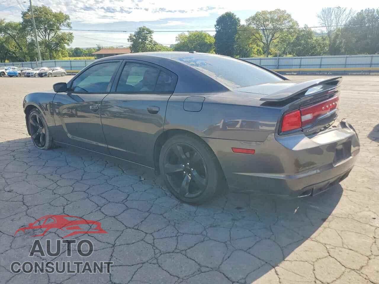 DODGE CHARGER 2014 - 2C3CDXCT0EH150469