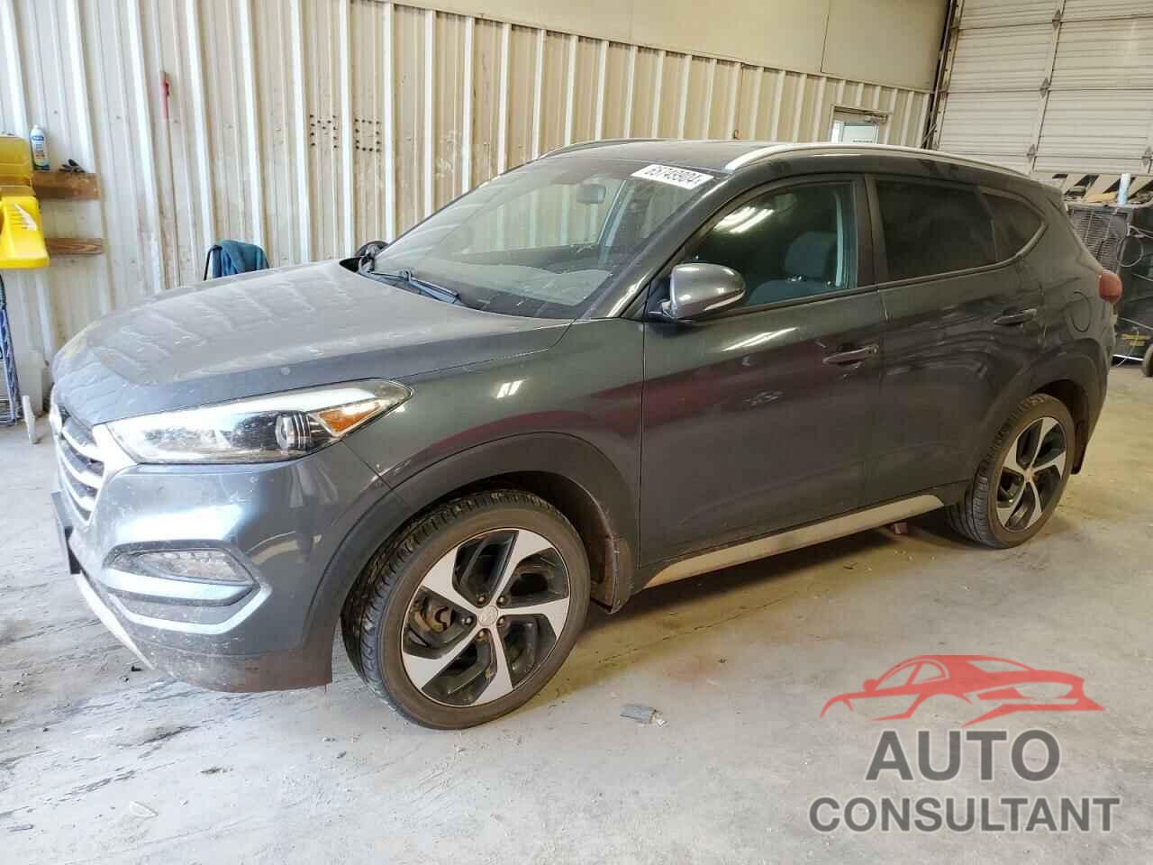 HYUNDAI TUCSON 2017 - KM8J33A22HU430304