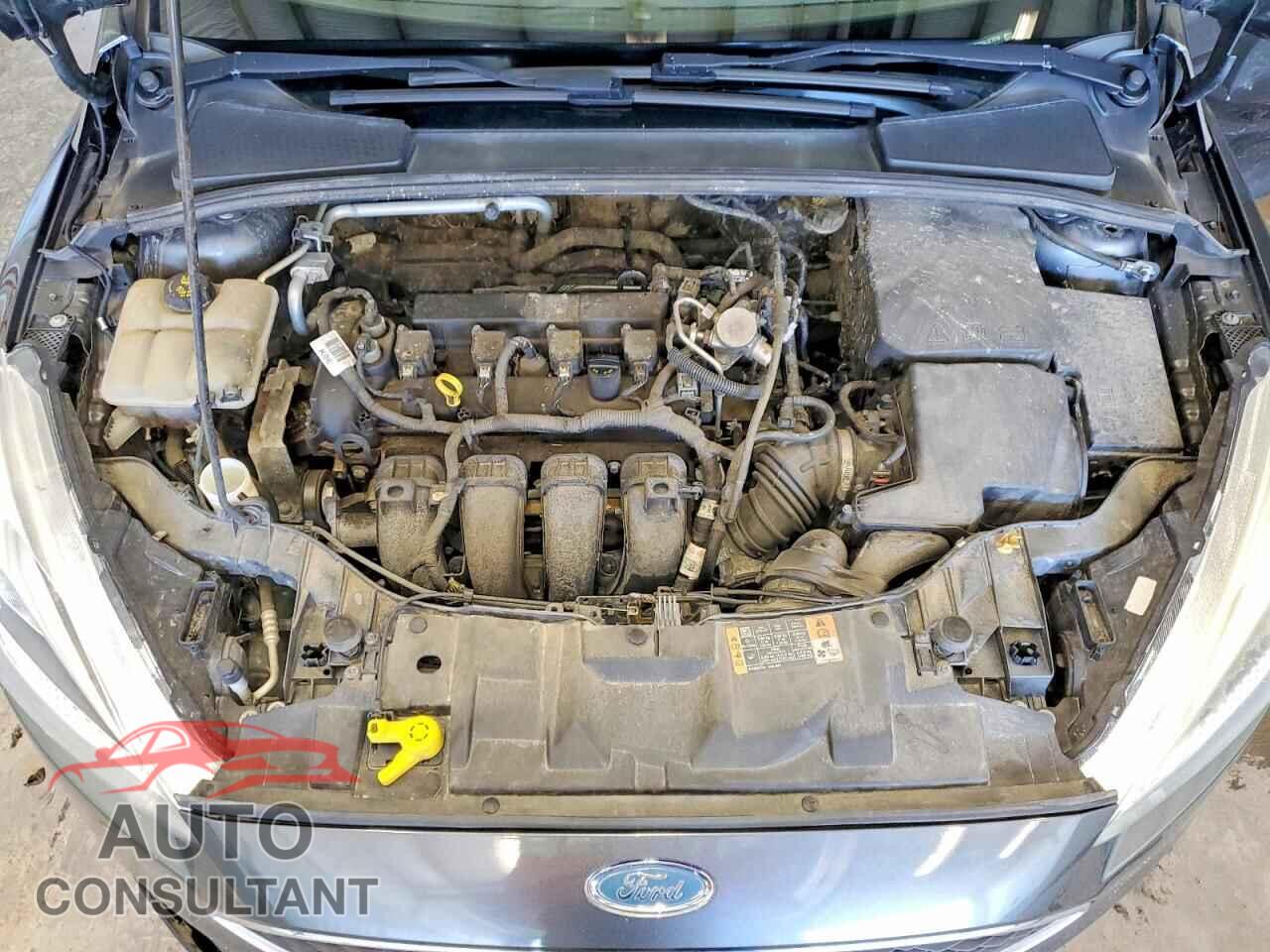 FORD FOCUS 2016 - 1FADP3F23GL377816