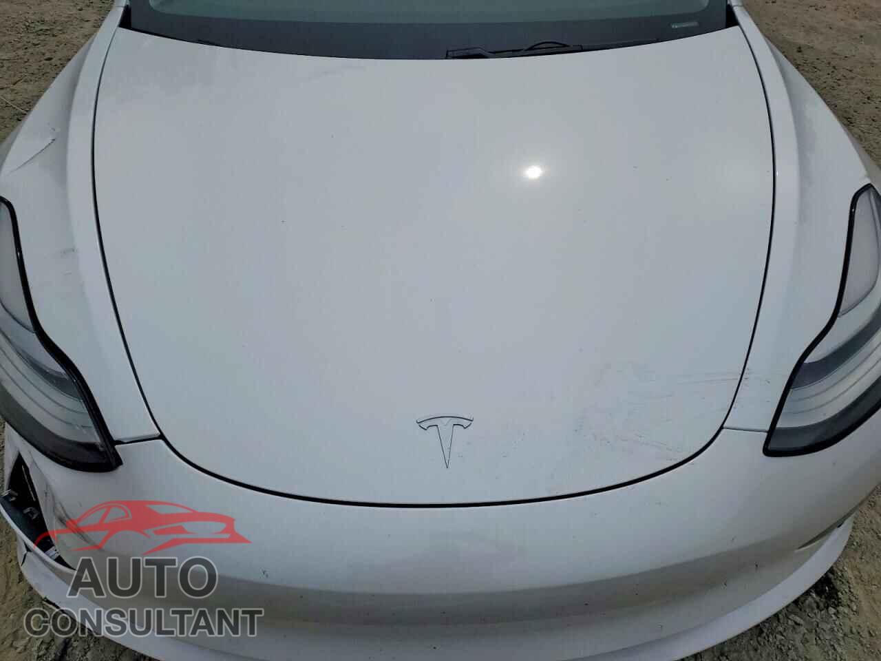 TESLA MODEL 3 2019 - 5YJ3E1EA3KF314042
