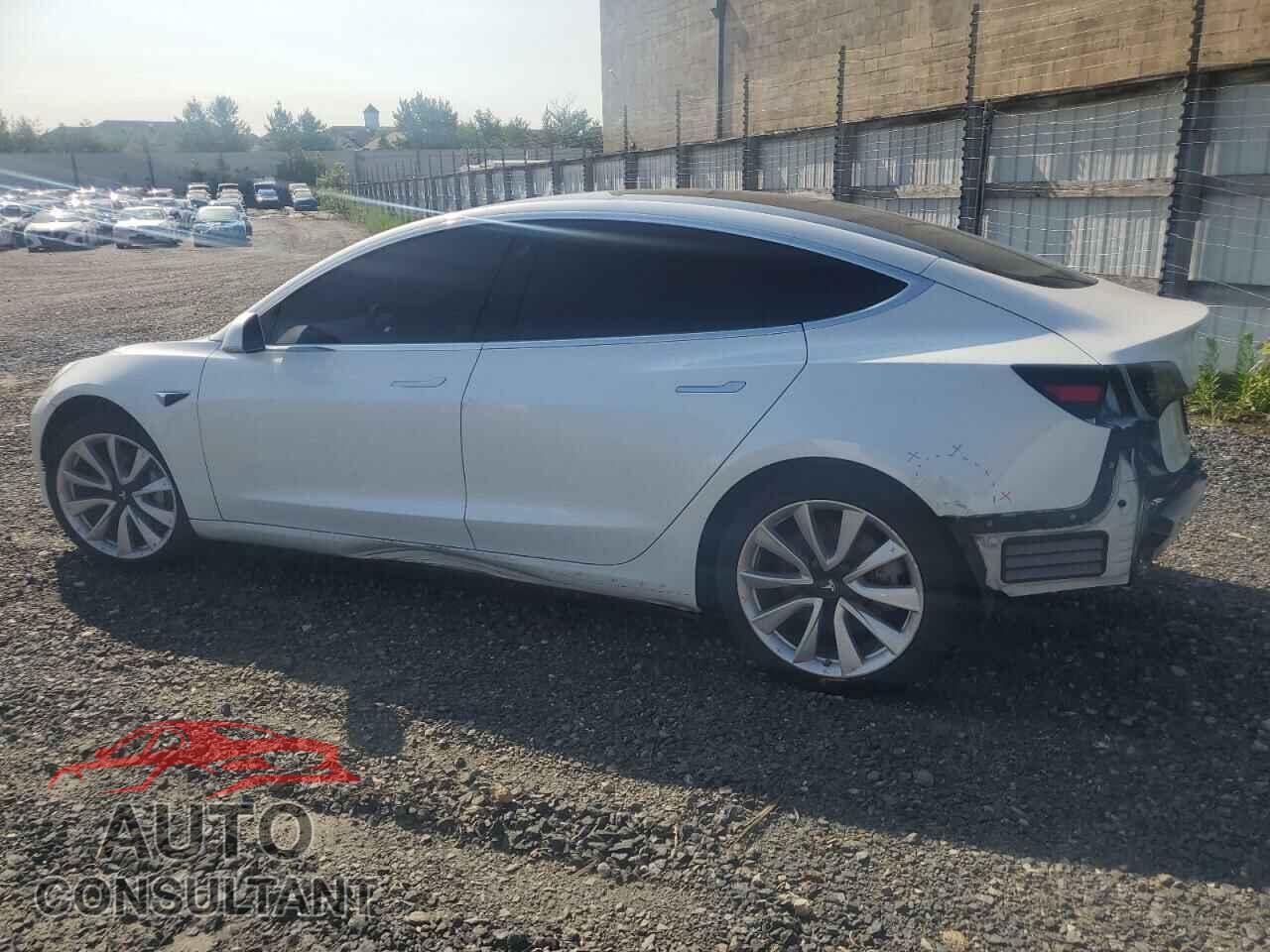 TESLA MODEL 3 2019 - 5YJ3E1EB0KF437726