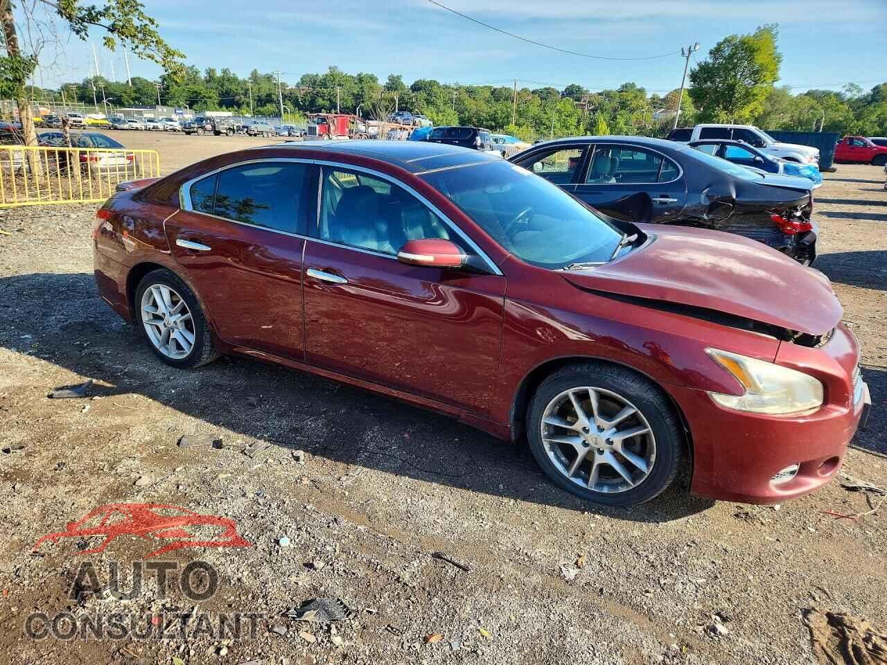 NISSAN MAXIMA 2010 - 1N4AA5AP1AC845021