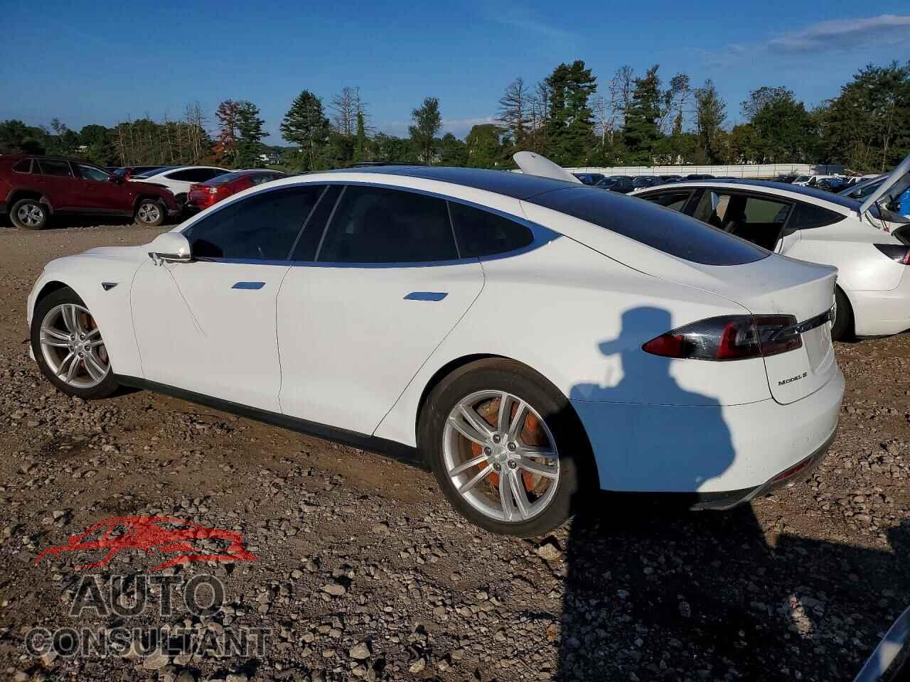 TESLA MODEL S 2013 - 5YJSA1CN7DFP26366