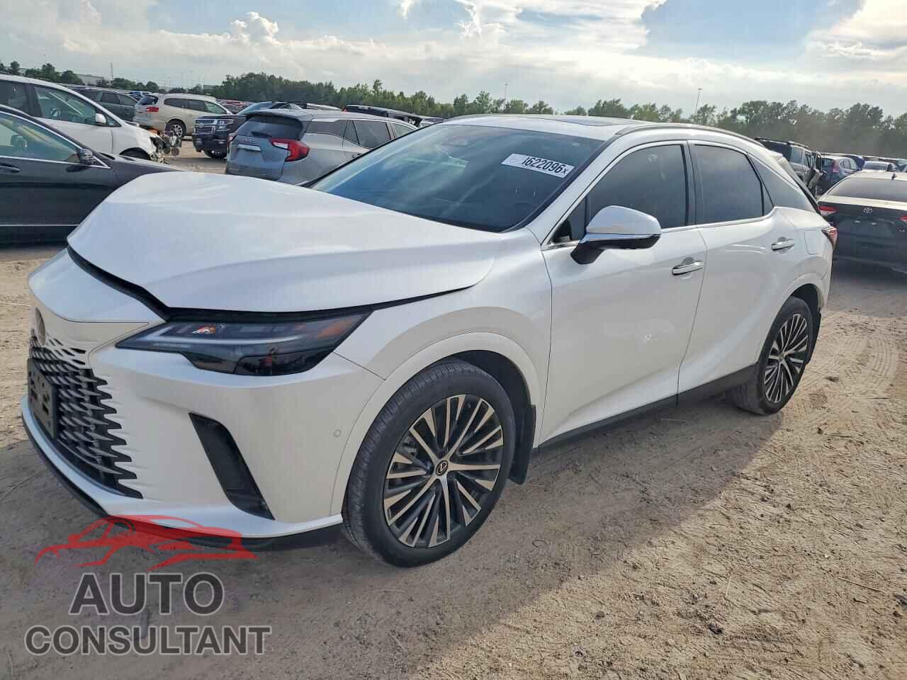 LEXUS RX350 2024 - 2T2BAMBA6RC032193