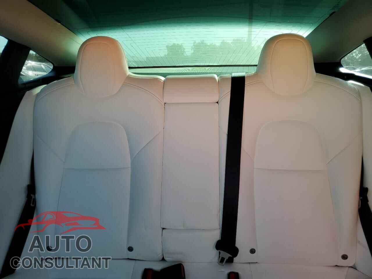TESLA MODEL 3 2019 - 5YJ3E1EA3KF431412