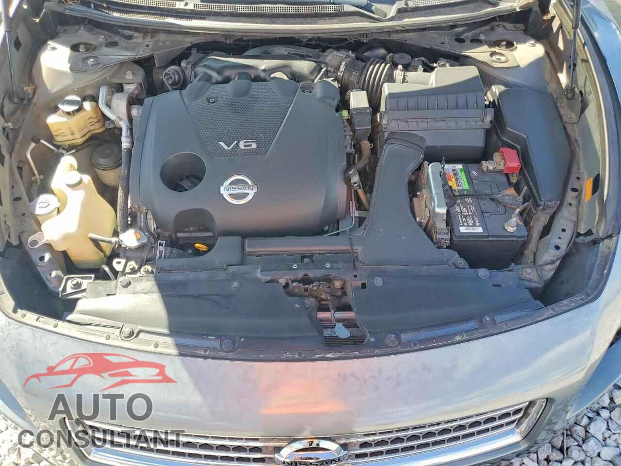 NISSAN MAXIMA 2011 - 1N4AA5AP4BC853227