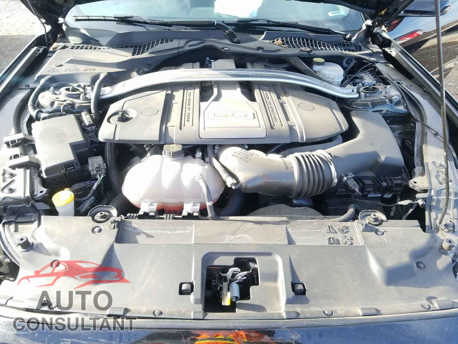 FORD MUSTANG 2019 - 1FA6P8CF5K5120893