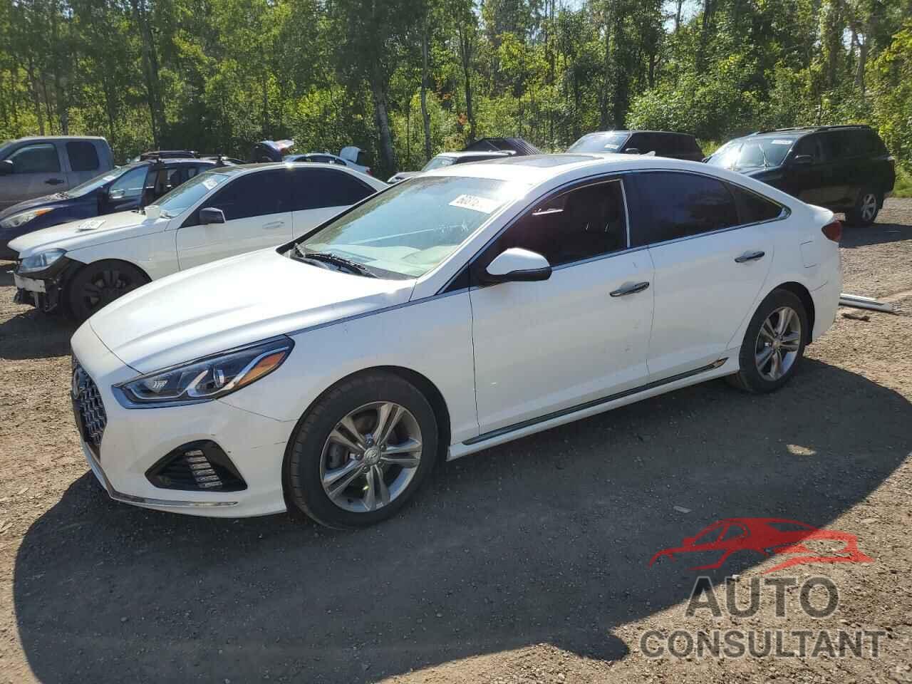 HYUNDAI SONATA 2019 - 5NPE34AF6KH790157