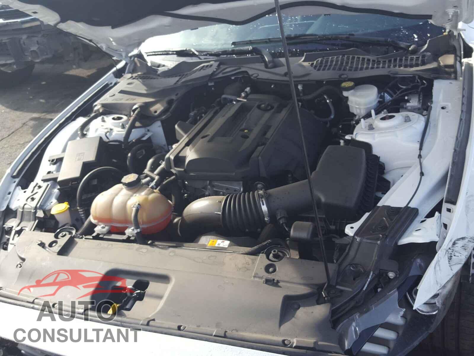 FORD MUSTANG 2017 - 1FA6P8TH5H5292237