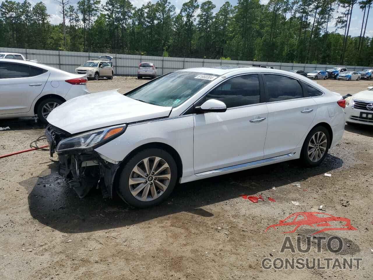 HYUNDAI SONATA 2016 - 5NPE34AF5GH394440