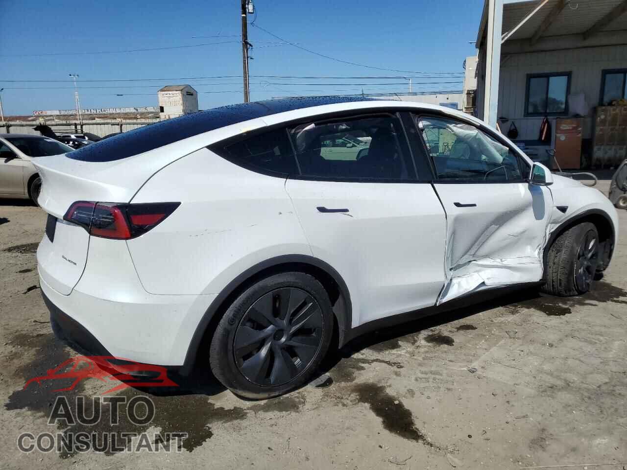 TESLA MODEL Y 2024 - 7SAYGAEE8RF108621