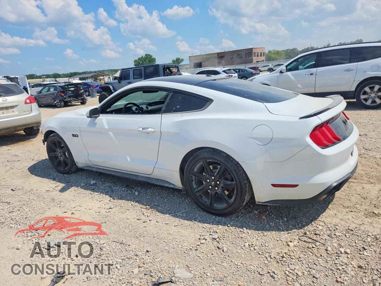 FORD MUSTANG 2019 - 1FA6P8CF1K5113522