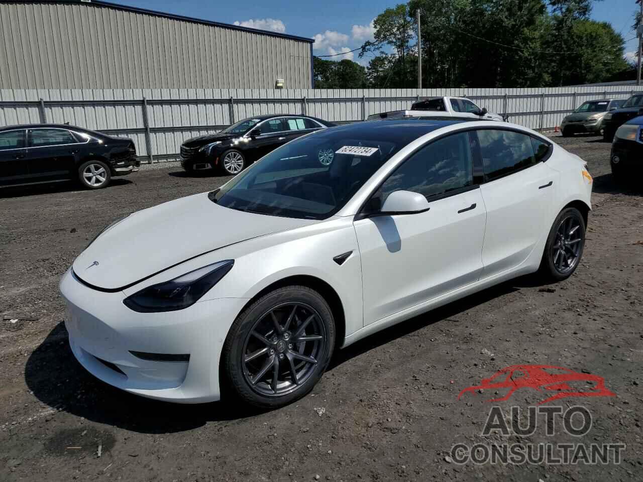 TESLA MODEL 3 2021 - 5YJ3E1EA2MF915204