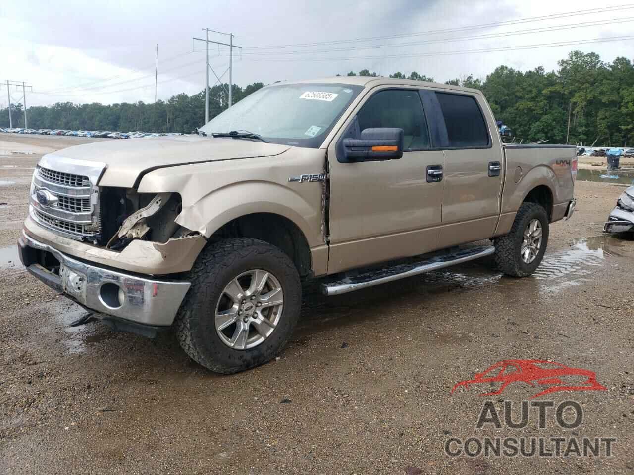FORD F-150 2014 - 1FTFW1EF3EKE76976