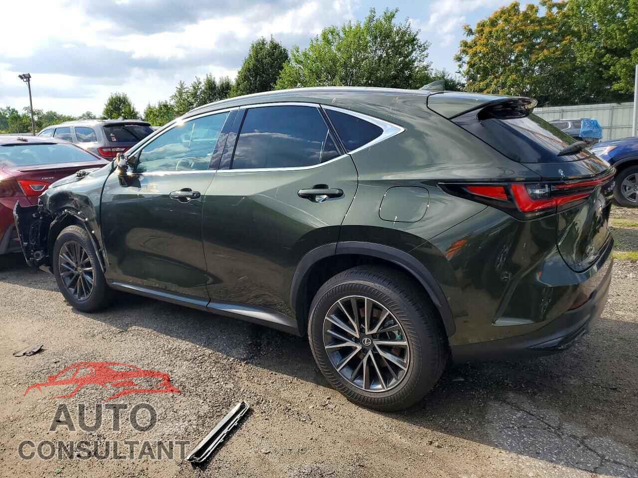 LEXUS NX 2026 - 2T2AKCEZ2TC068491