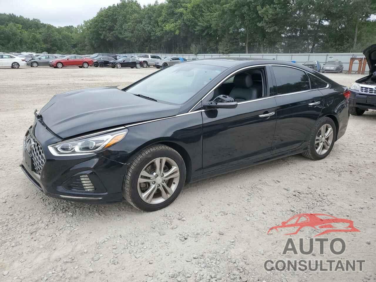 HYUNDAI SONATA 2019 - 5NPE34AF0KH821502