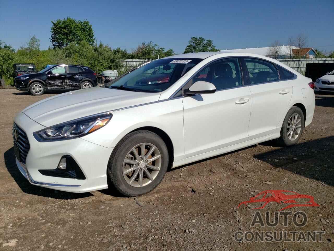 HYUNDAI SONATA 2019 - 5NPE24AF1KH733223