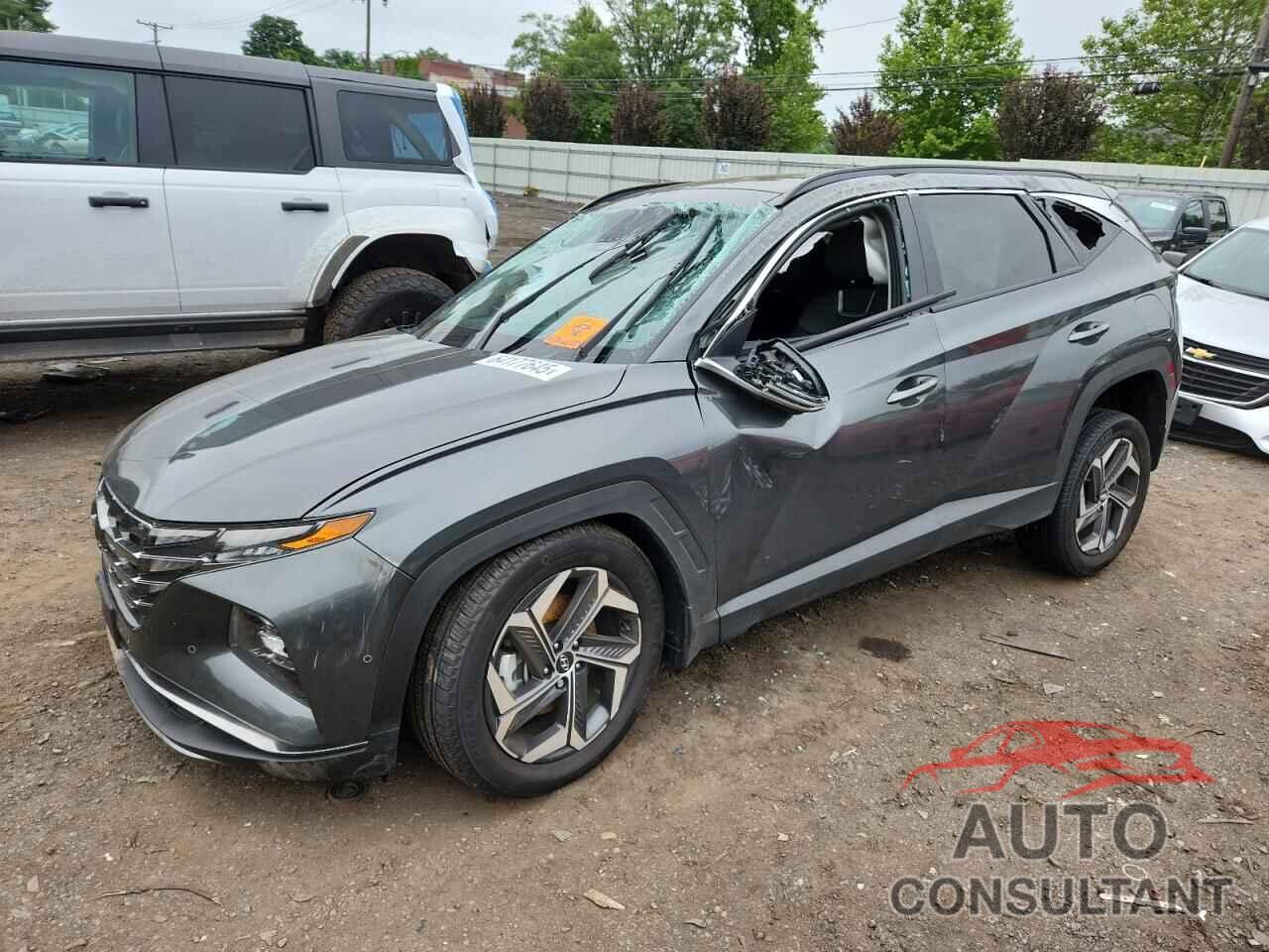 HYUNDAI TUCSON 2024 - KM8JECD19RU172801