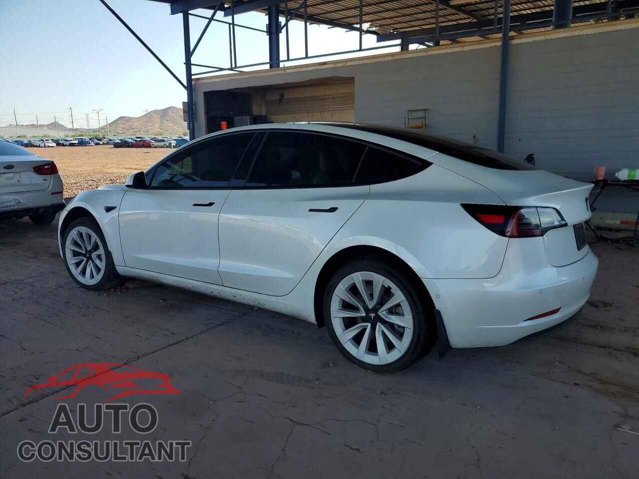 TESLA MODEL 3 2021 - 5YJ3E1EA1MF073102