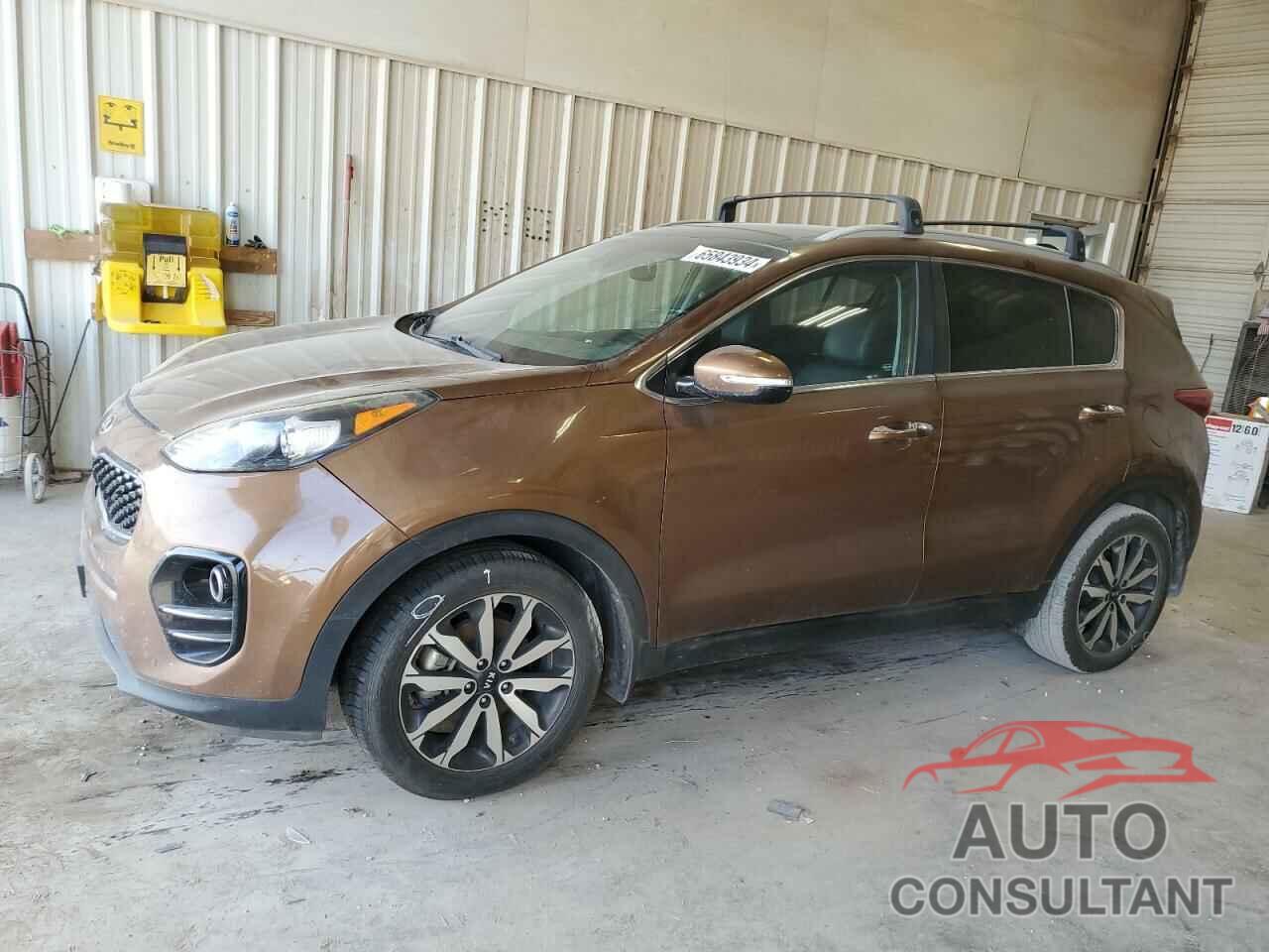 KIA SPORTAGE 2017 - KNDPN3AC4H7233182