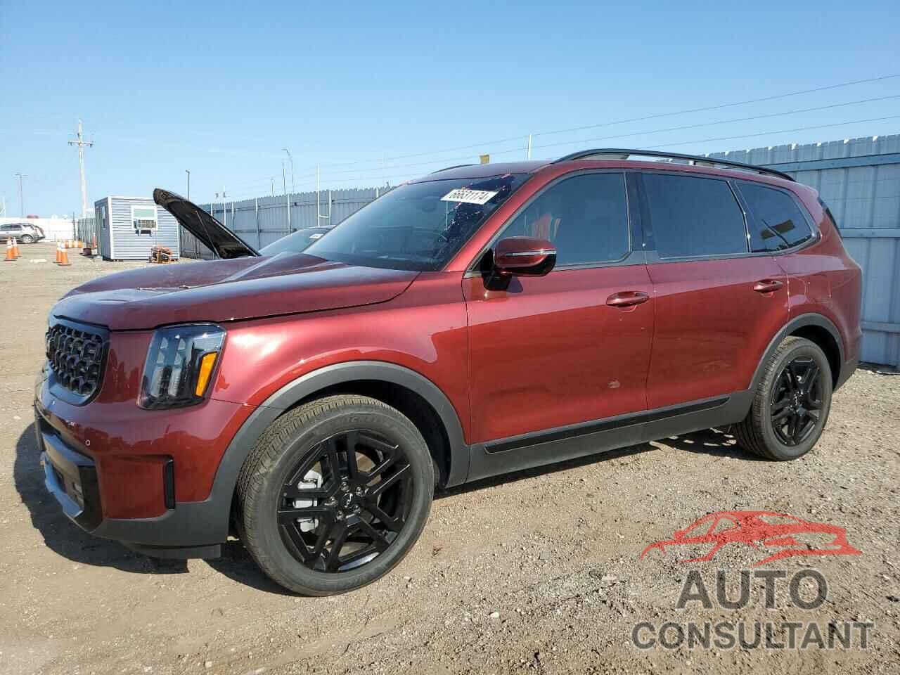 KIA TELLURIDE 2024 - 5XYP5DGC5RG484164