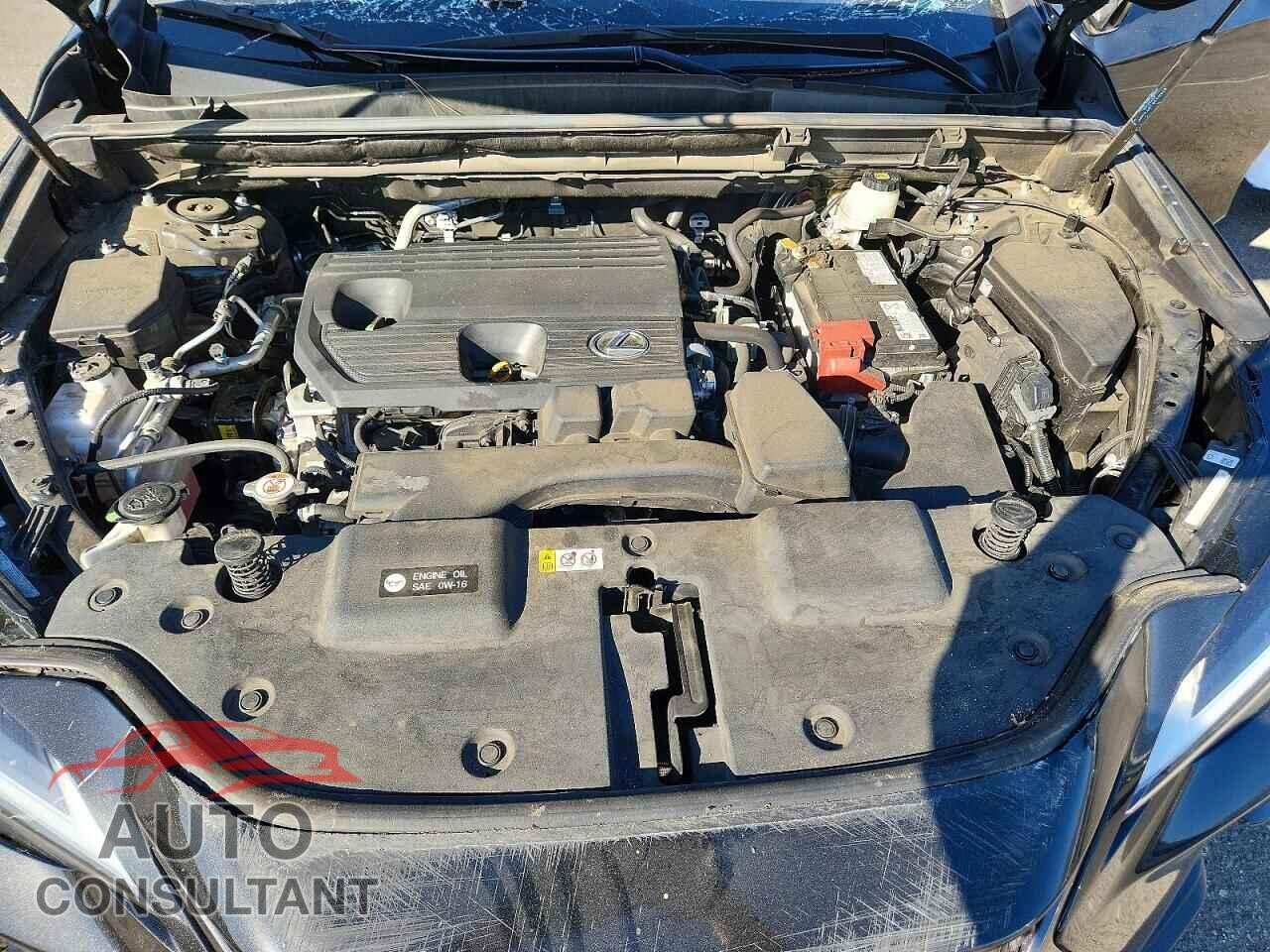 LEXUS NX 2025 - 2T2GDCAZ4SC020015