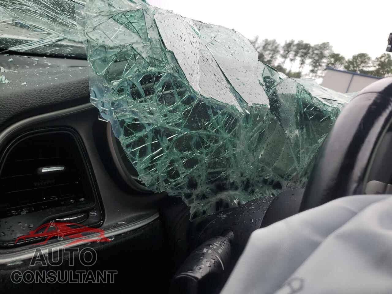 DODGE CHALLENGER 2019 - 2C3CDZAG8KH751853