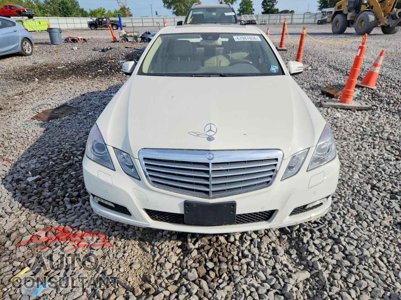 MERCEDES-BENZ E-CLASS 2010 - WDDHF7CB9AA168664