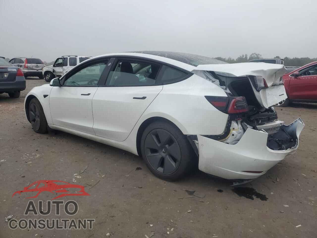 TESLA MODEL 3 2021 - 5YJ3E1EB3MF049831