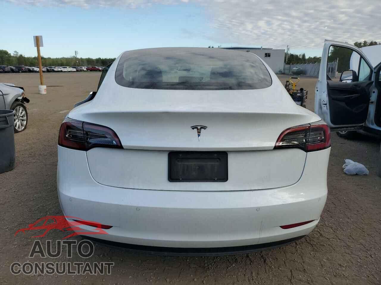 TESLA MODEL 3 2019 - 5YJ3E1EA2KF428050
