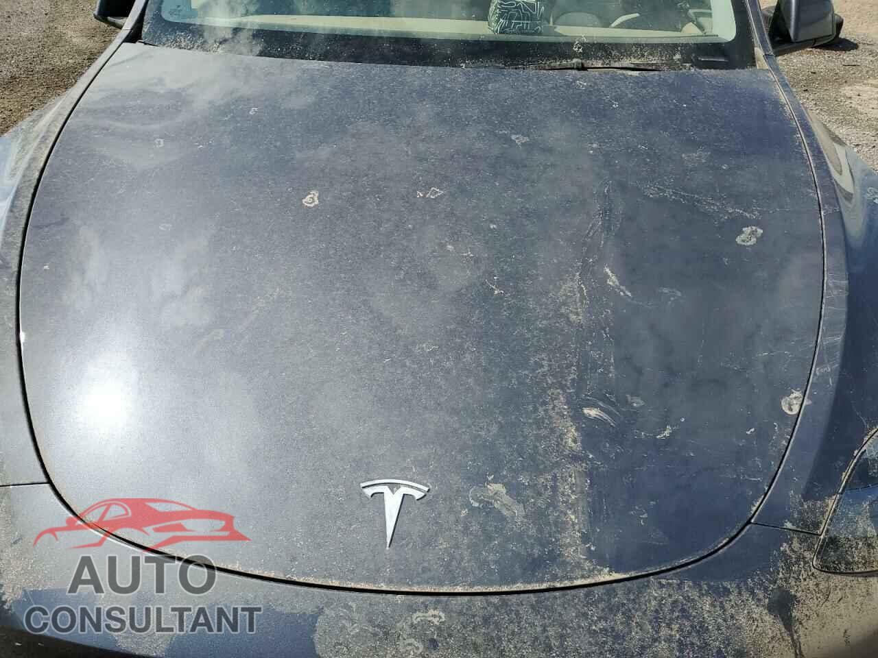TESLA MODEL Y 2023 - LRWYGDFD3PC938807