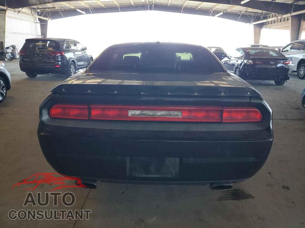 DODGE CHALLENGER 2010 - 2B3CJ7DW2AH149560