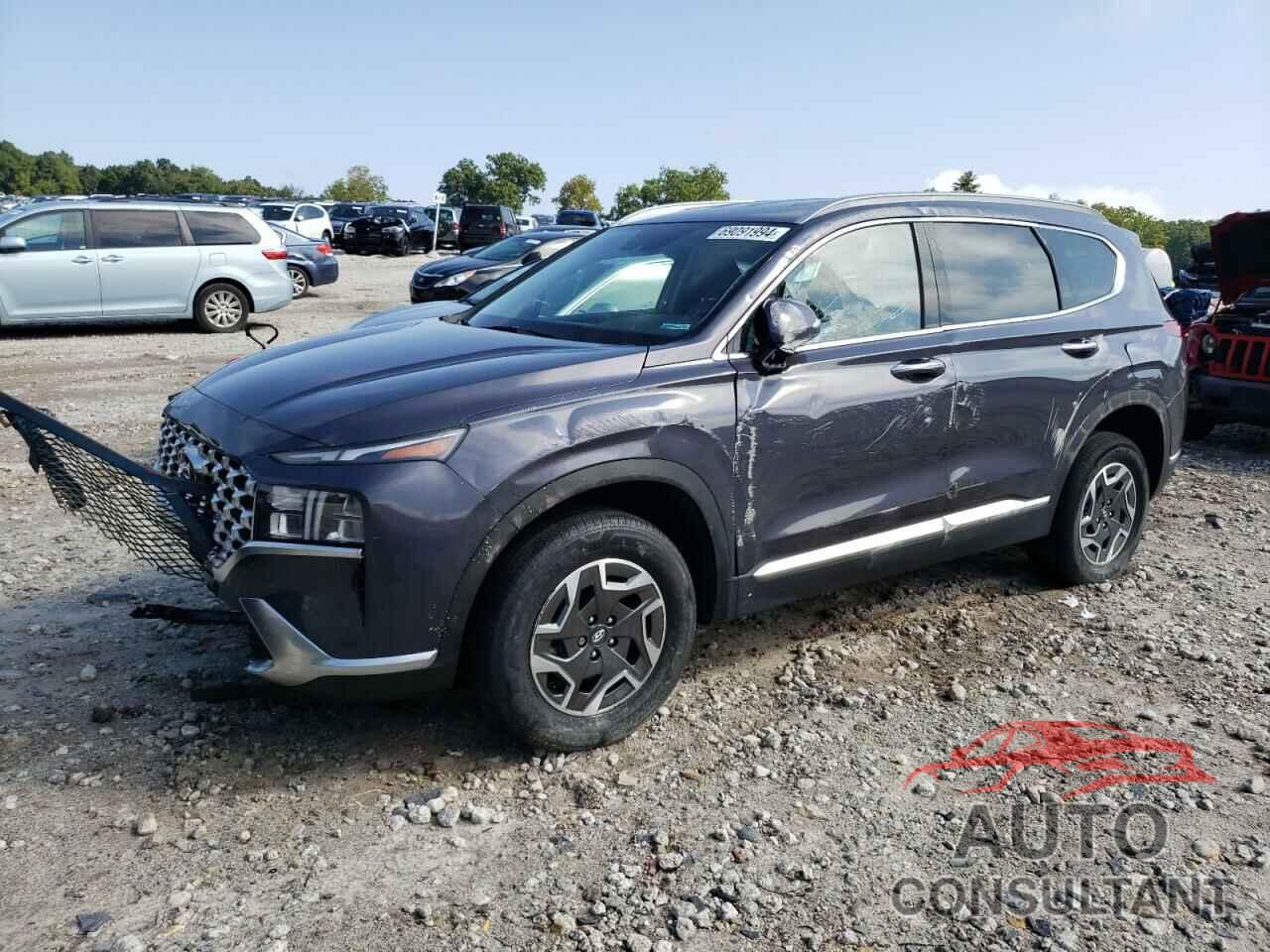 HYUNDAI SANTA FE 2021 - KM8S2DA16MU011287