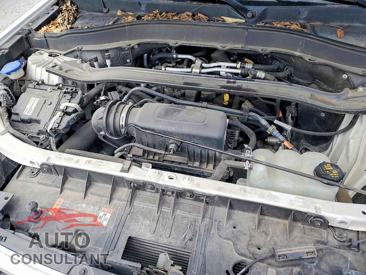 FORD EXPLORER 2021 - 1FMSK8FH5MGB55313