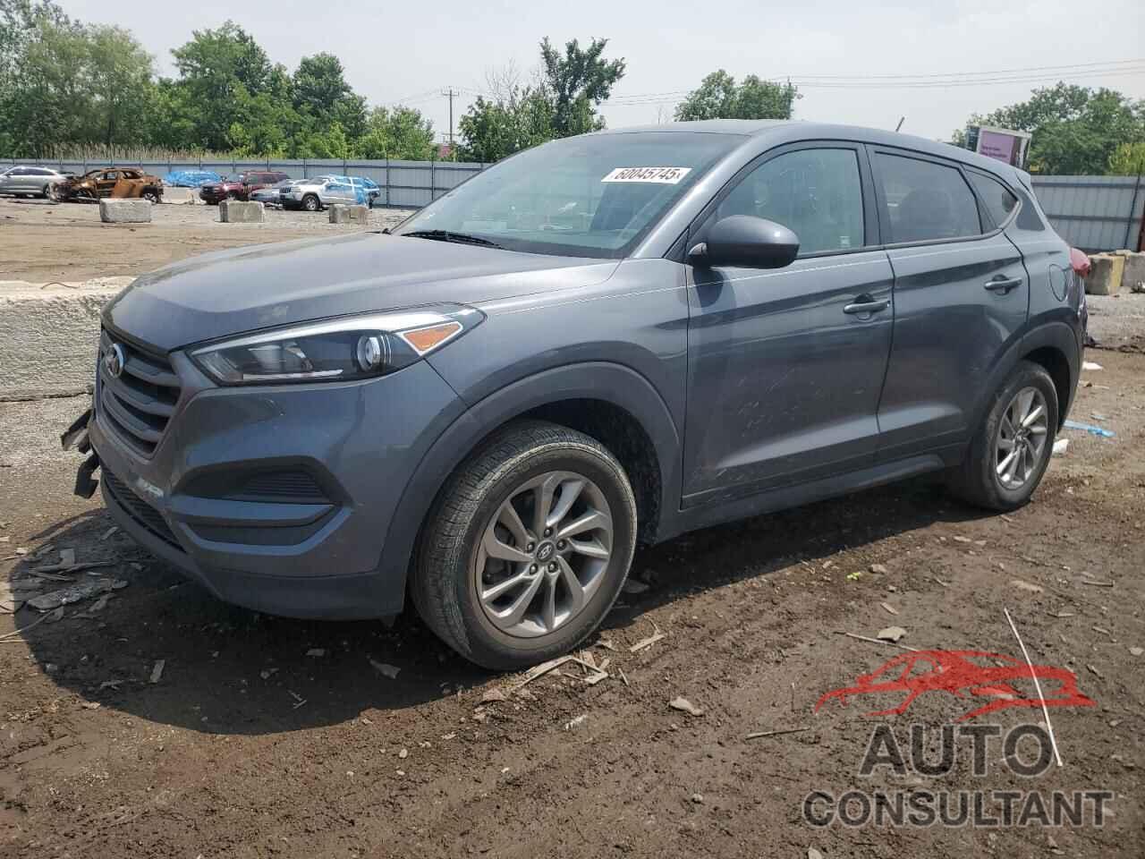 HYUNDAI TUCSON 2016 - KM8J23A44GU157577