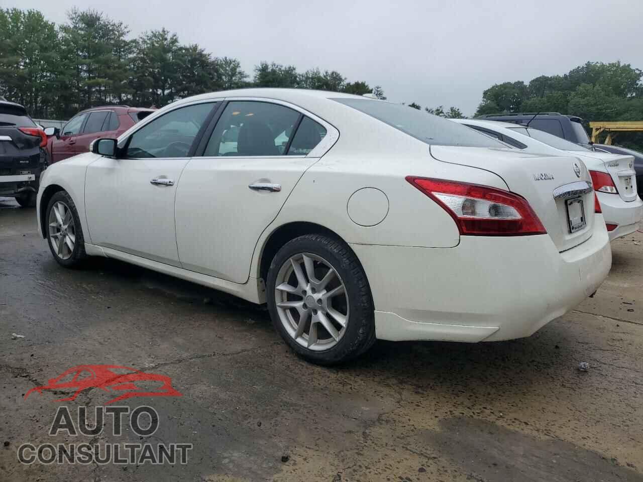 NISSAN MAXIMA 2011 - 1N4AA5AP5BC820737