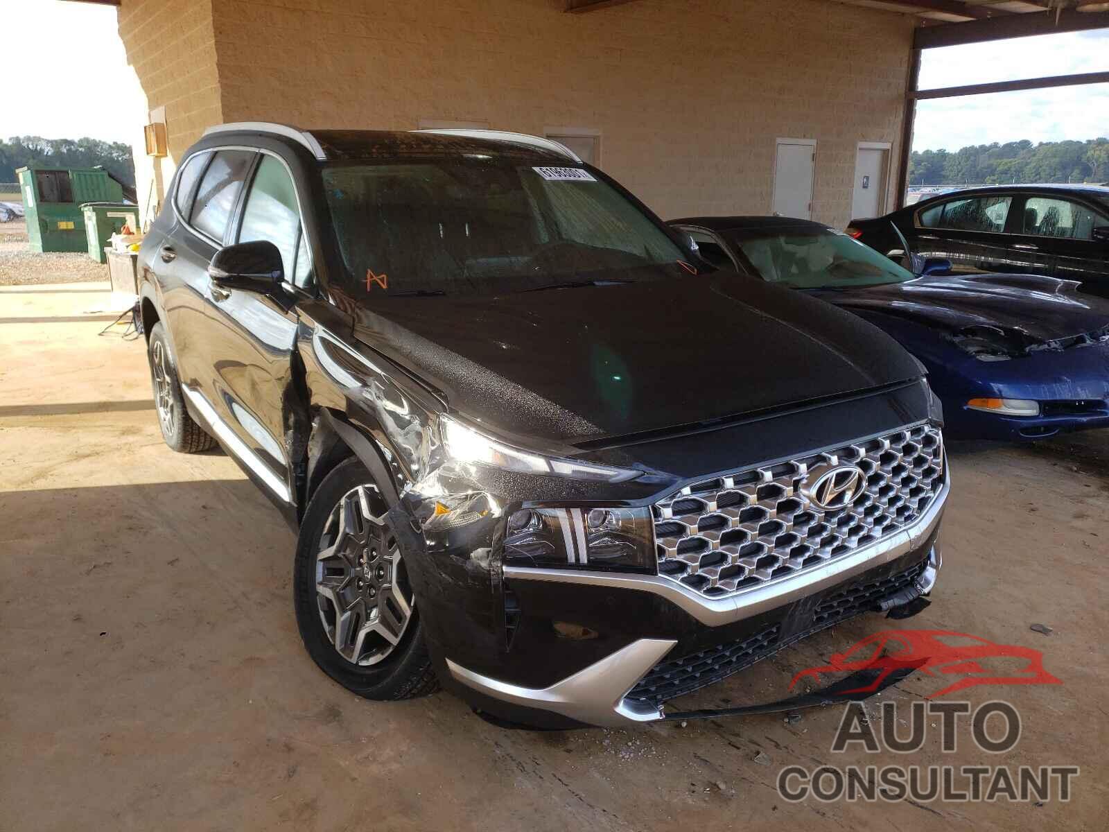 HYUNDAI SANTA FE 2022 - KM8S5DA19NU017335