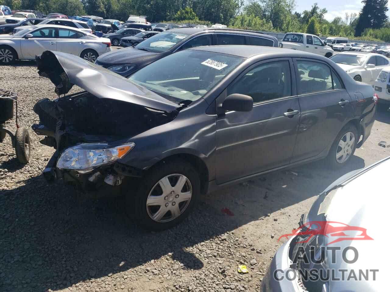 TOYOTA COROLLA 2009 - JTDBL40E499075134