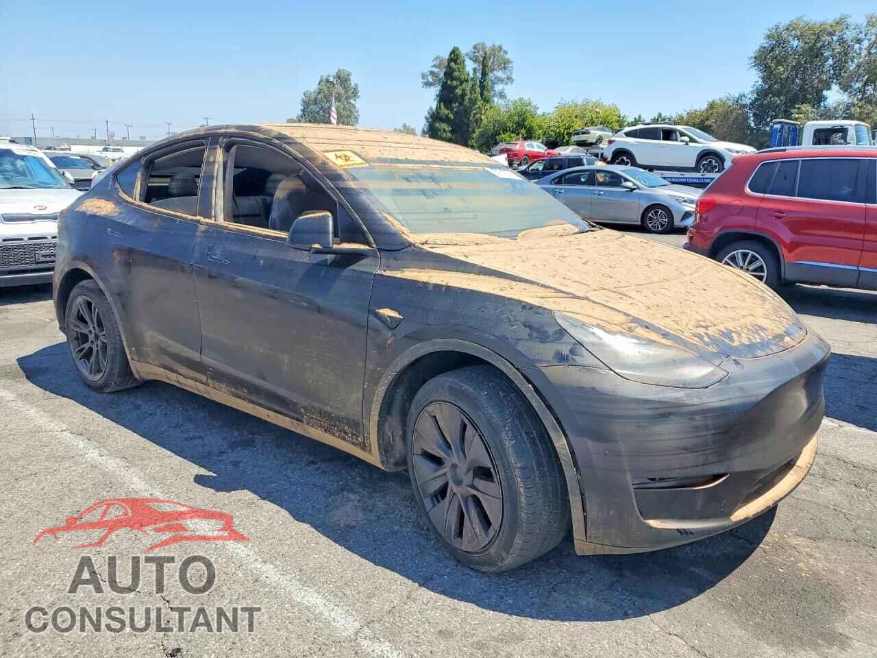 TESLA MODEL Y 2024 - 7SAYGDED2RF166149