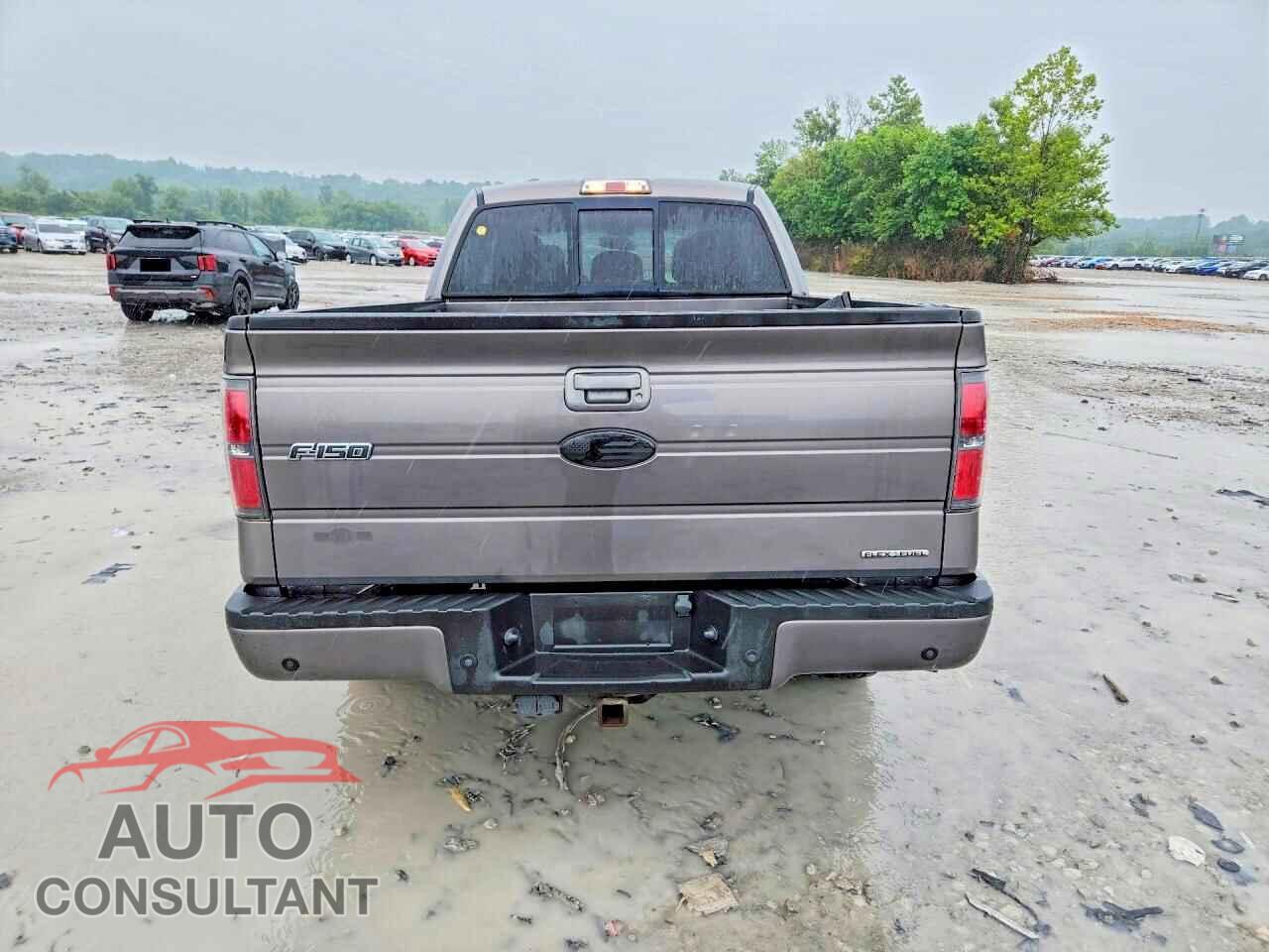 FORD F150 2012 - 1FTFX1CF0CFB64247