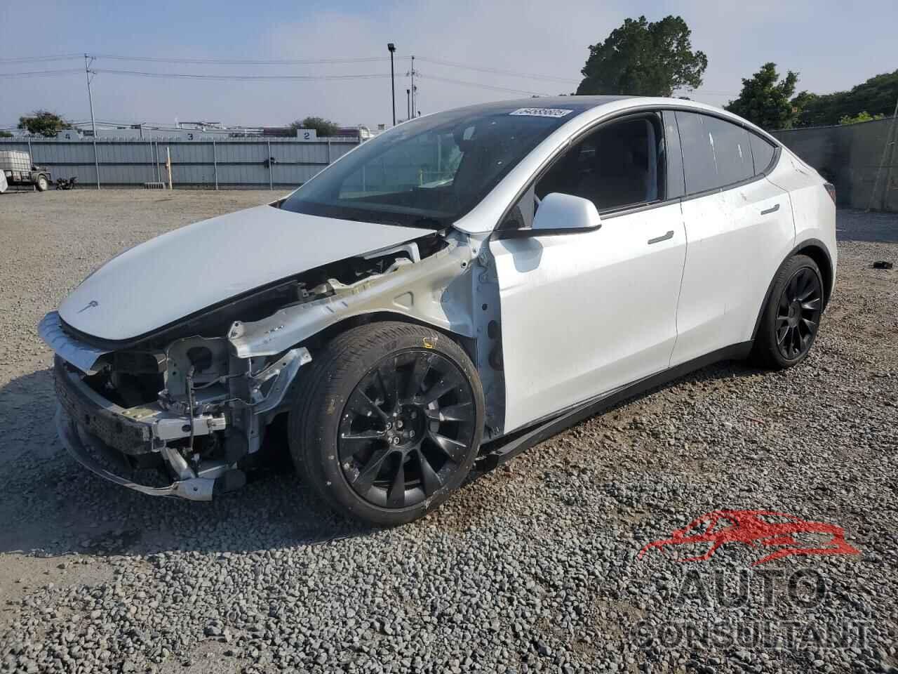 TESLA MODEL Y 2021 - 5YJYGDEE8MF274516