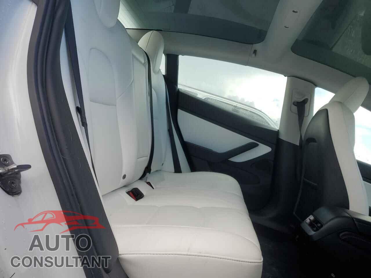 TESLA MODEL 3 2021 - 5YJ3E1EA7MF925713