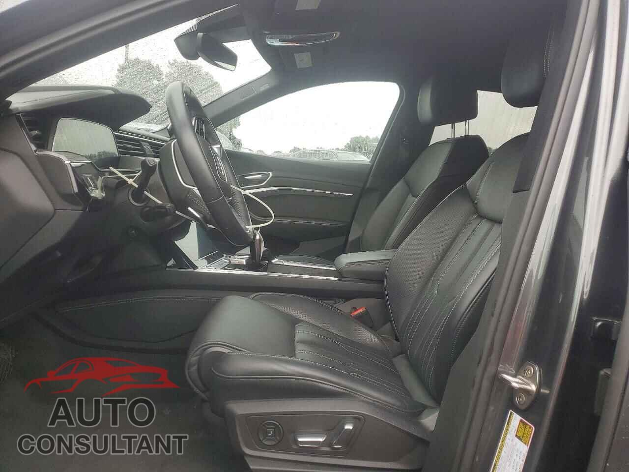 AUDI E-TRON 2019 - WA1VAAGE3KB006760