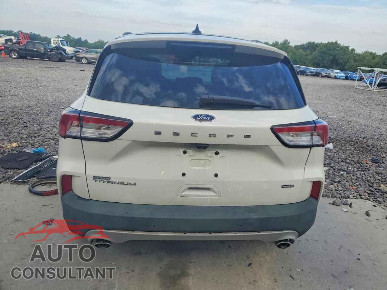 FORD ESCAPE 2020 - 1FMCU0DZ2LUC08089
