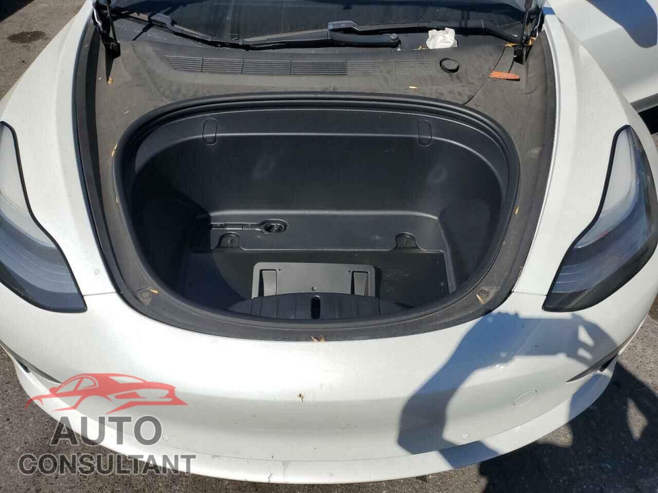 TESLA MODEL 3 2019 - 5YJ3E1EA5KF302149