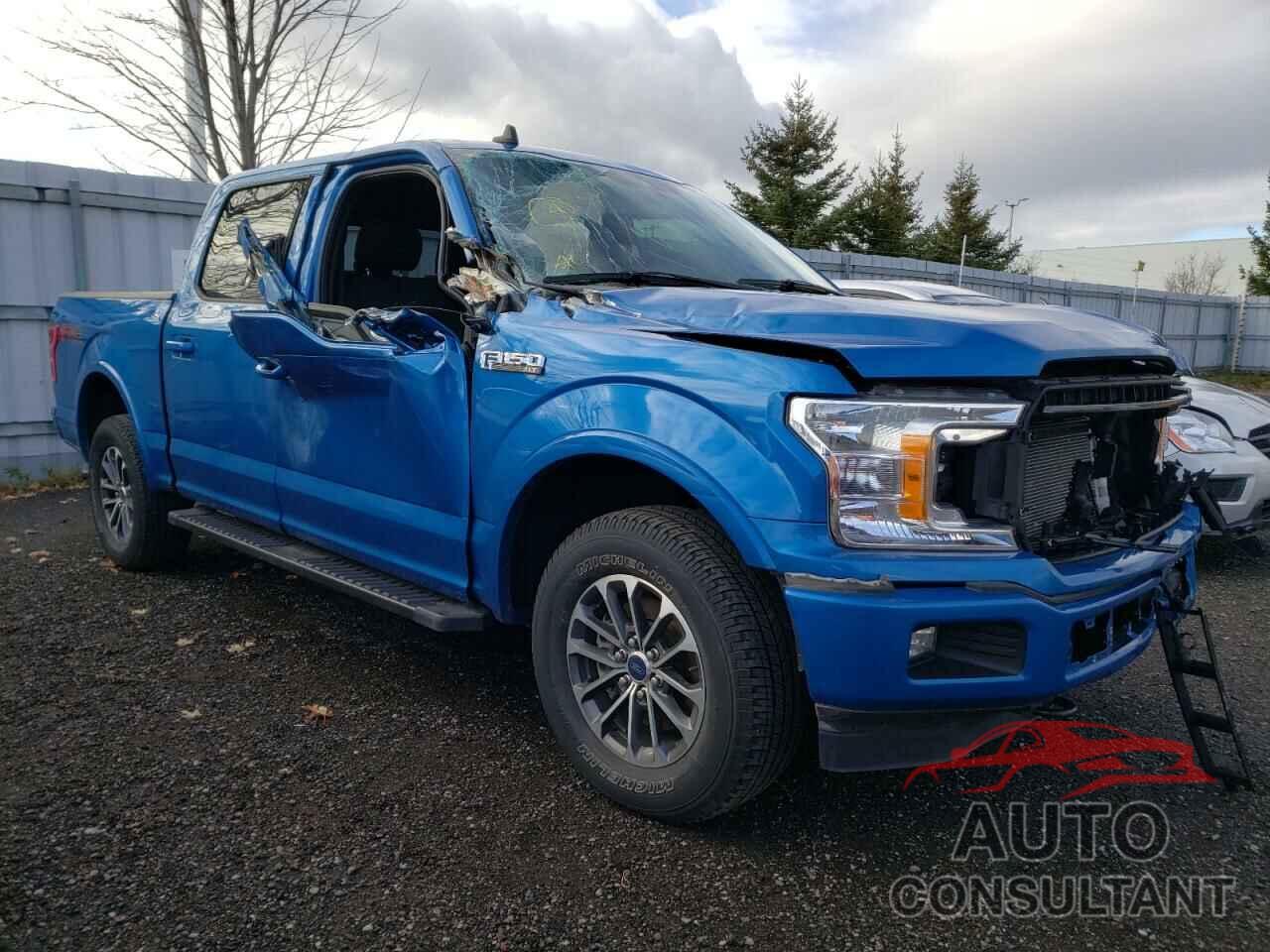 FORD F-150 2020 - 1FTEW1E46LFB91902