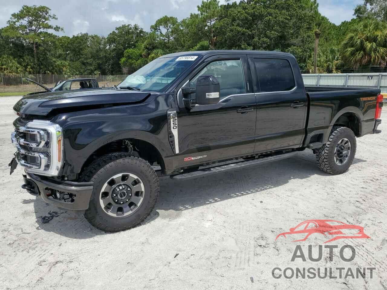 FORD F250 2024 - 1FT8W2BMXREC88896