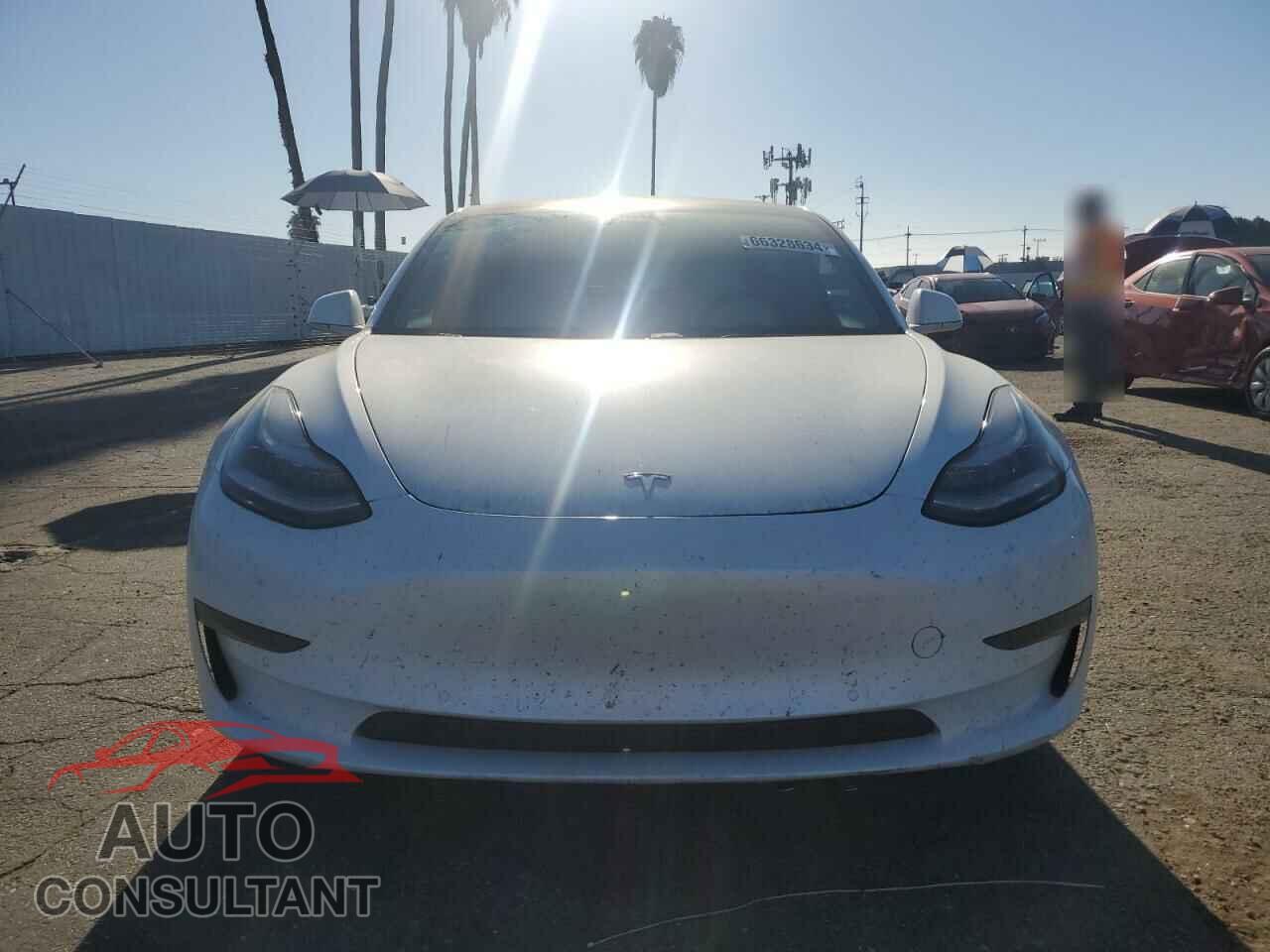 TESLA MODEL 3 2019 - 5YJ3E1EB0KF522162