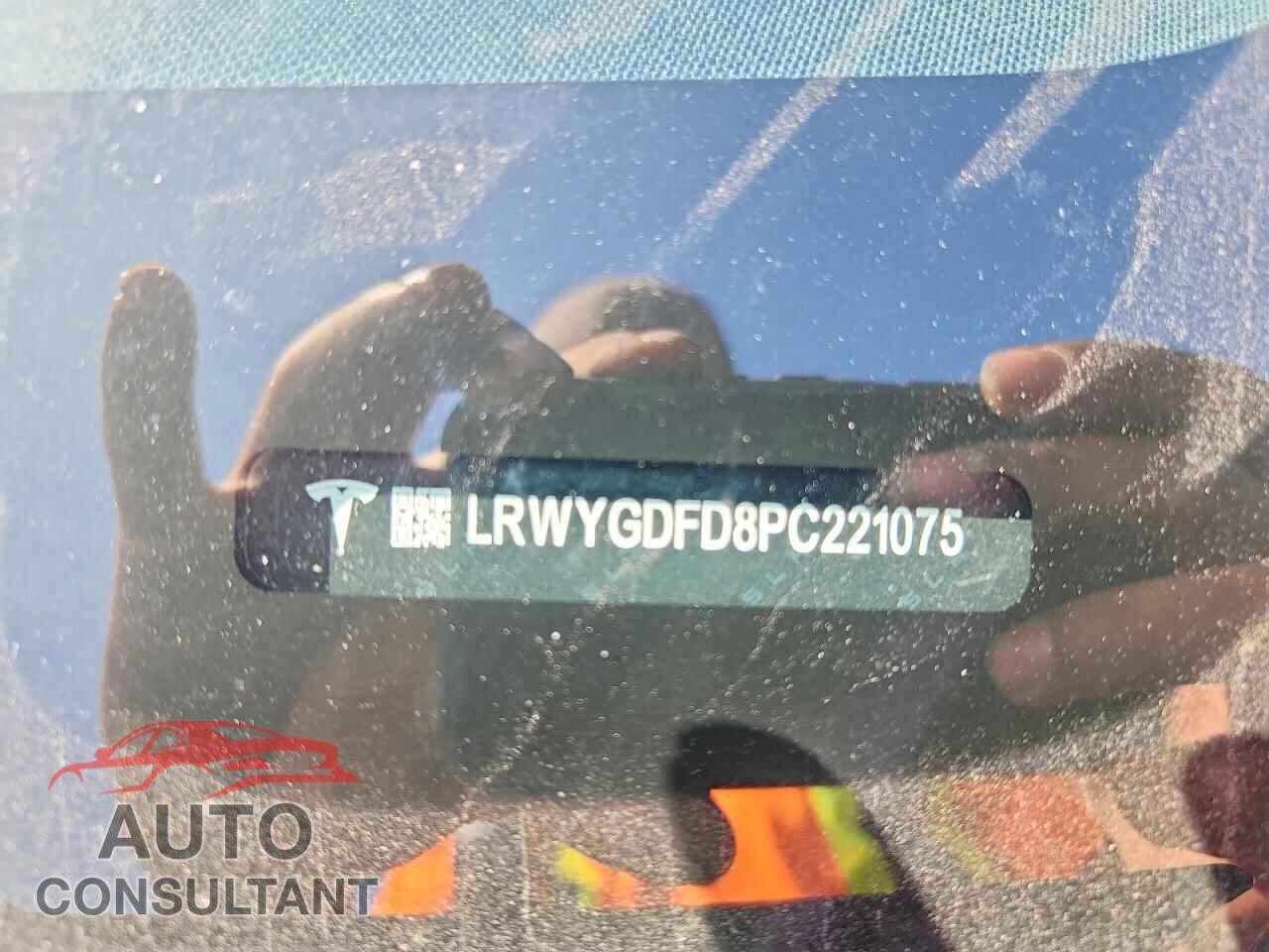 TESLA MODEL Y 2023 - LRWYGDFD8PC221075